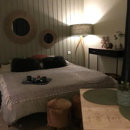Les Pieds Dans L'eau Apartment Duingt
