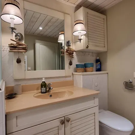 Apartment Les Pieds Dans L'eau Duingt